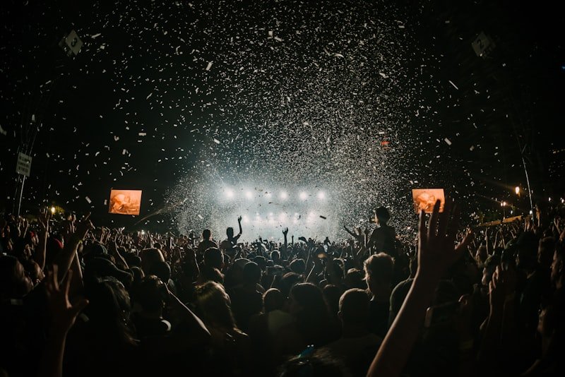 A crowd at one of our festivals